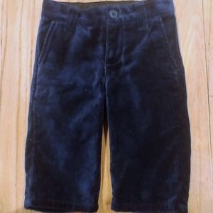 Janie and Jack Velvet Pants